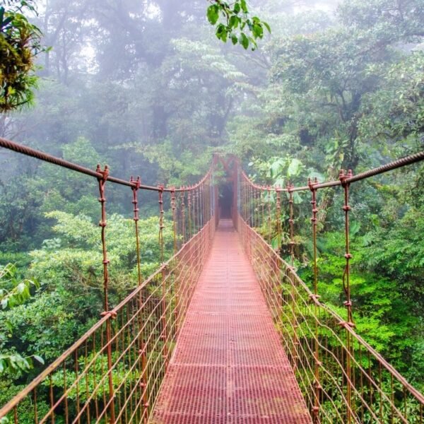 Costa Rica Sightseeing Tours Itinerary - Coast to Coast - Image 7