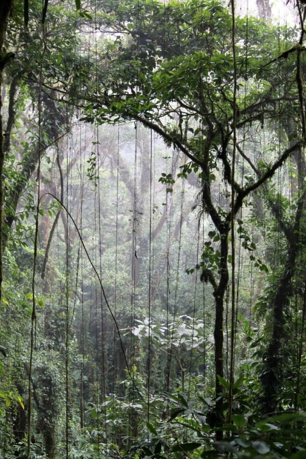 Itinerario turístico de 12 días por Costa Rica - De costa a costa