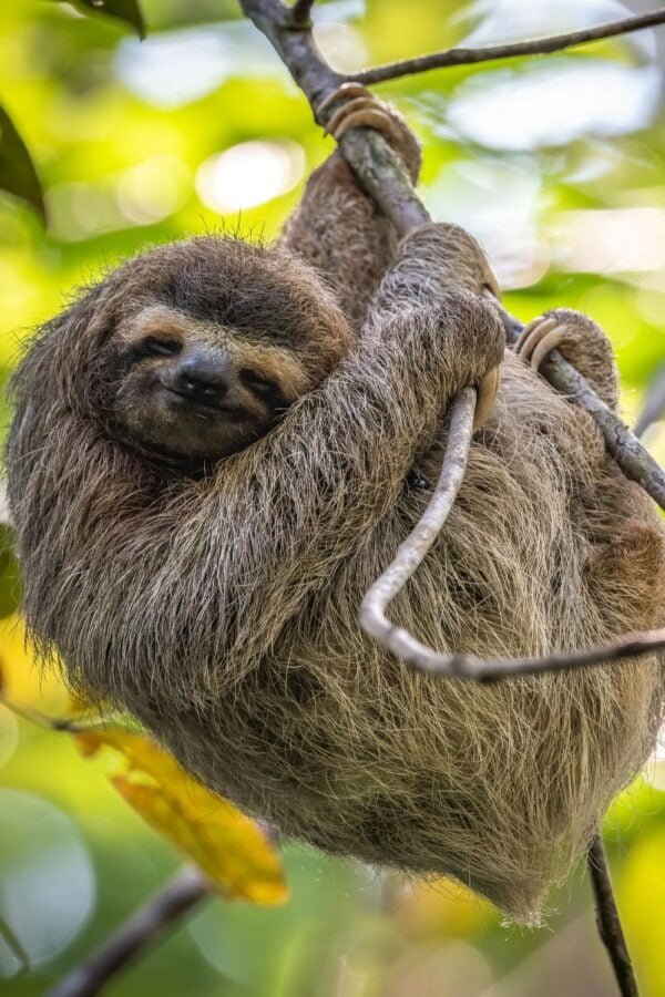 Excursión en familia en Costa Rica - Imagen 8