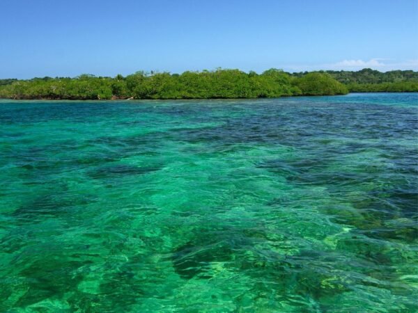 Itinerario turístico de 12 días por Costa Rica - De costa a costa (Copy) - Imagen 4