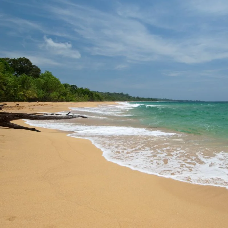 Bocas del Toro itinerary - Image 15