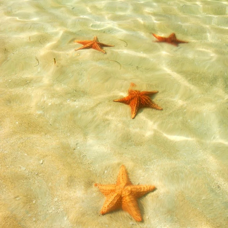 Bocas del Toro itinerary - Image 14