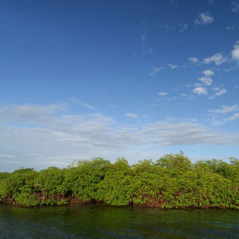 Bocas del Toro itinerary - Image 13