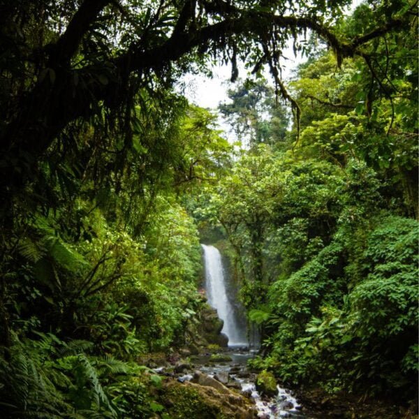 Cascadas de La Paz | Tavo León Tours