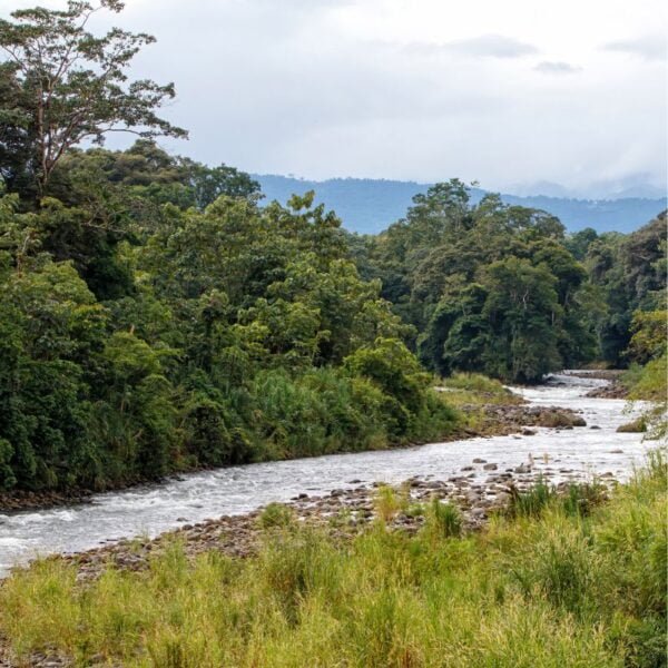 Paquete de vacaciones en Costa Rica: Tesoros Tropicales Pura Vida - Diciembre 2024 - Imagen 4