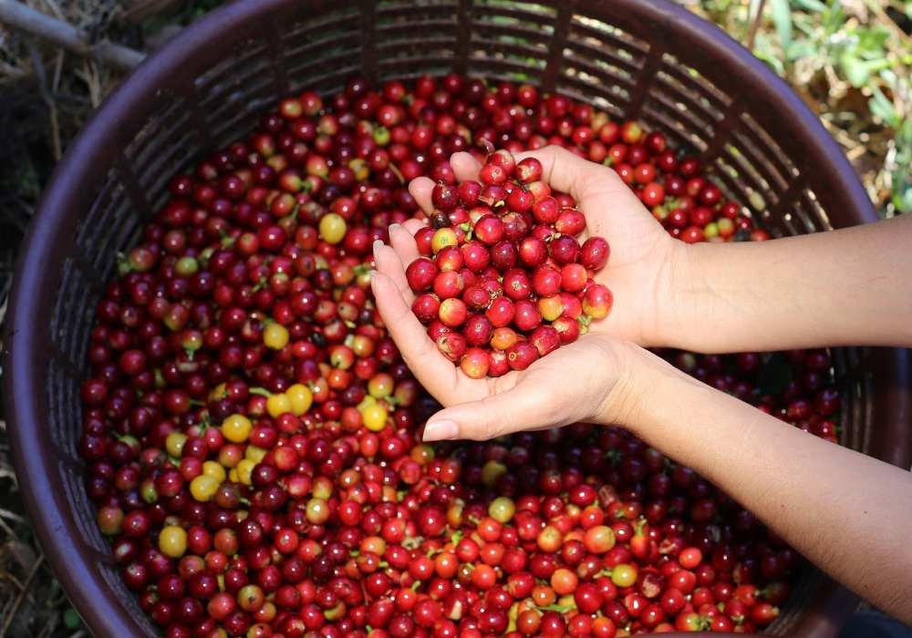 High Season in Costa Rica